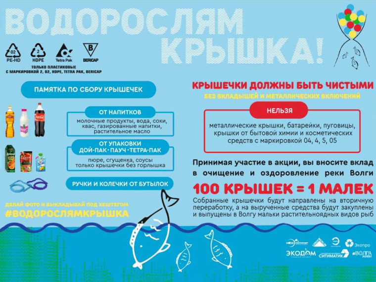 Водорослям крышка - 2024.