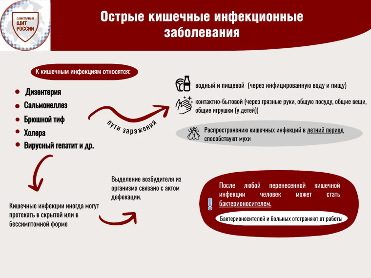 Профилактика острых кишечных инфекций (ОКИ) в летнее время.